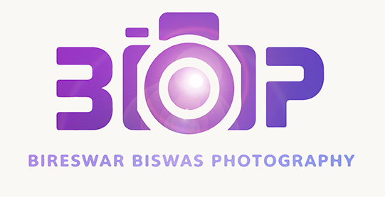 Bireswar Biswas photography logo